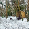 Stour Valley Winter, The North Dorset Trailway,  Shillingstone.