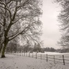 Abington Park East