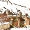 Castor cottages