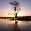 Wellingborough Embankment