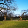 Greenwich Park