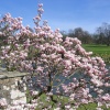 Leeds Castle Gardens, Maidstone