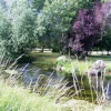 River Stour, Fordwich