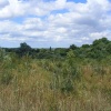 Views around Fordwich