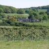Hernhill