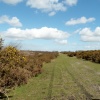 Sampford Moor