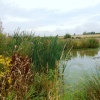 Twycross Zoo, Wetlands