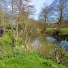 A walk by the river in Brockdish