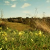 Spring day