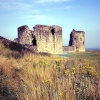 Flint Castle