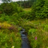 Isle of Arran