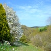 Marwood Hill Valley view