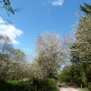 tayport