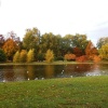 St James' Park