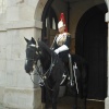 Guard duty in Whitehall, London