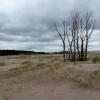 Tayport