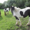 Irthlingborough