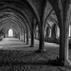 Fountains Abbey