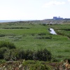 Standing on Dunwich Heath 