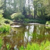 Bressingham Gardens