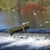 River Wye