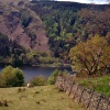 Grazing over Grasmere