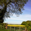 Market Bosworth Countryside