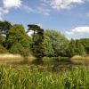 Arbury Hall gardens