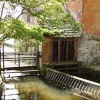 Anglo Saxon watermill, Christchurch