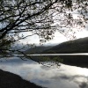 Coniston Water in the early morning light.