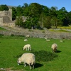 Nappa Hall near Worton, Wensleydale