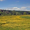 Blandford Forum