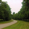 Tree-lined drive, Stoneleigh Abbey