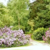 Stoneleigh Abbey Gardens
