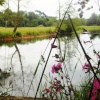 Stoneleigh Abbey Gardens