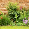 Stoneleigh Abbey Gardens