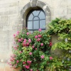 Stoneleigh Abbey 