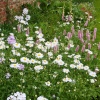 Stoneleigh Abbey Gardens