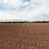 Ruishton