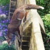 Jumping the wall