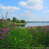 Carsington Water