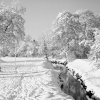 The River Pinn, Ruislip, snow 1976