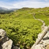 Loughrigg Fell and Ivy Crag