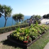 Babbacombe Downs