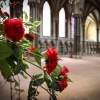 Lincoln Cathedral