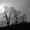 Windmill Hill