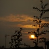 Looking for the perfect sunrise/sunset