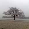 East Tytherley morning bike ride