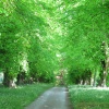 Woodland Walk, Constable Burton Hall Gardens at the entrance to Wensleydale