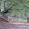 Quantock Hills
